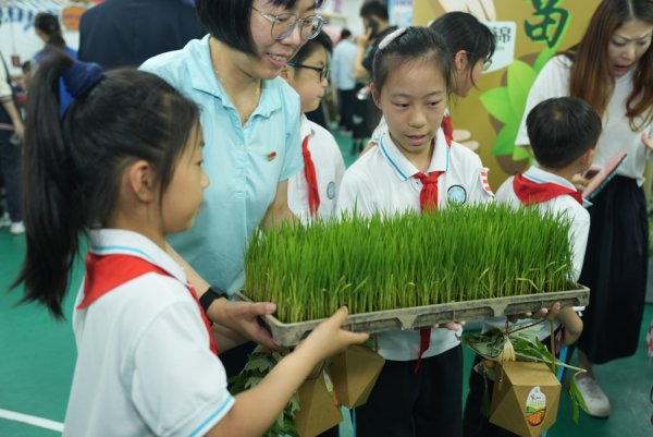 股票实盘配资公司 这里的校园，有艾草飘香，也能下地插秧！