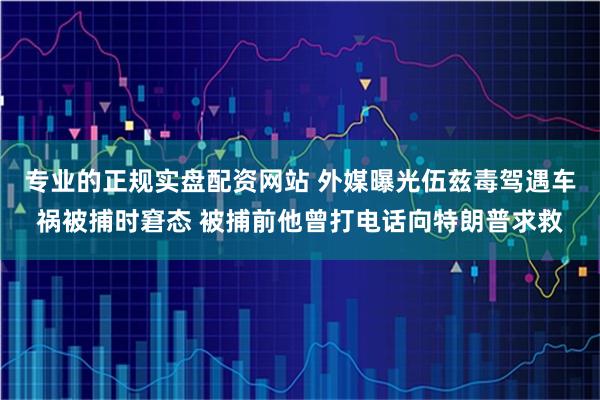 专业的正规实盘配资网站 外媒曝光伍兹毒驾遇车祸被捕时窘态 被捕前他曾打电话向特朗普求救