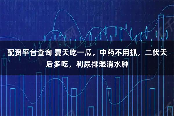配资平台查询 夏天吃一瓜，中药不用抓，二伏天后多吃，利尿排湿消水肿